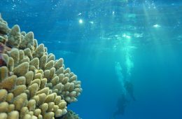 Parc Naturel de la Mer de Corail