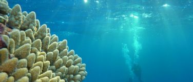 Parc Naturel de la Mer de Corail